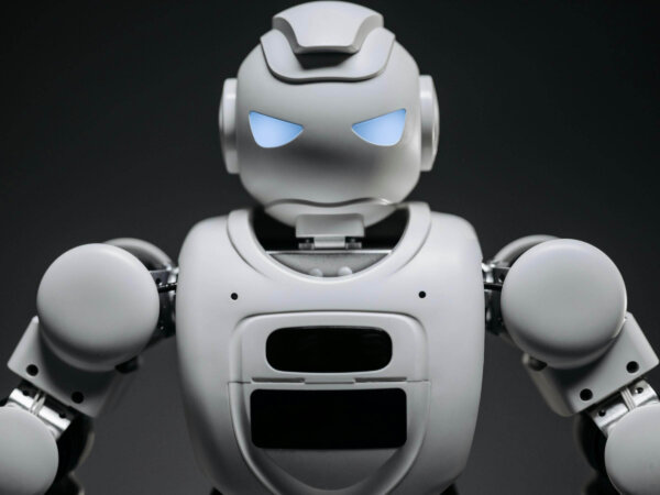 landsc 4x3 cover x43356